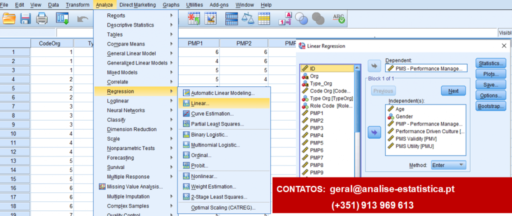 analise estatística SPSS